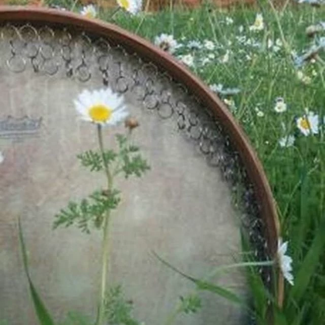 دف سما (رمو قدیم) به همراه کاور مرغوب فوم دار به همراه یک جلسه کلاس آموزش آنلاین